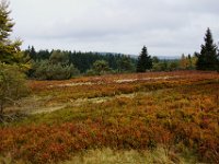 3. Tag Wanderung von Willingen nach Winterberg